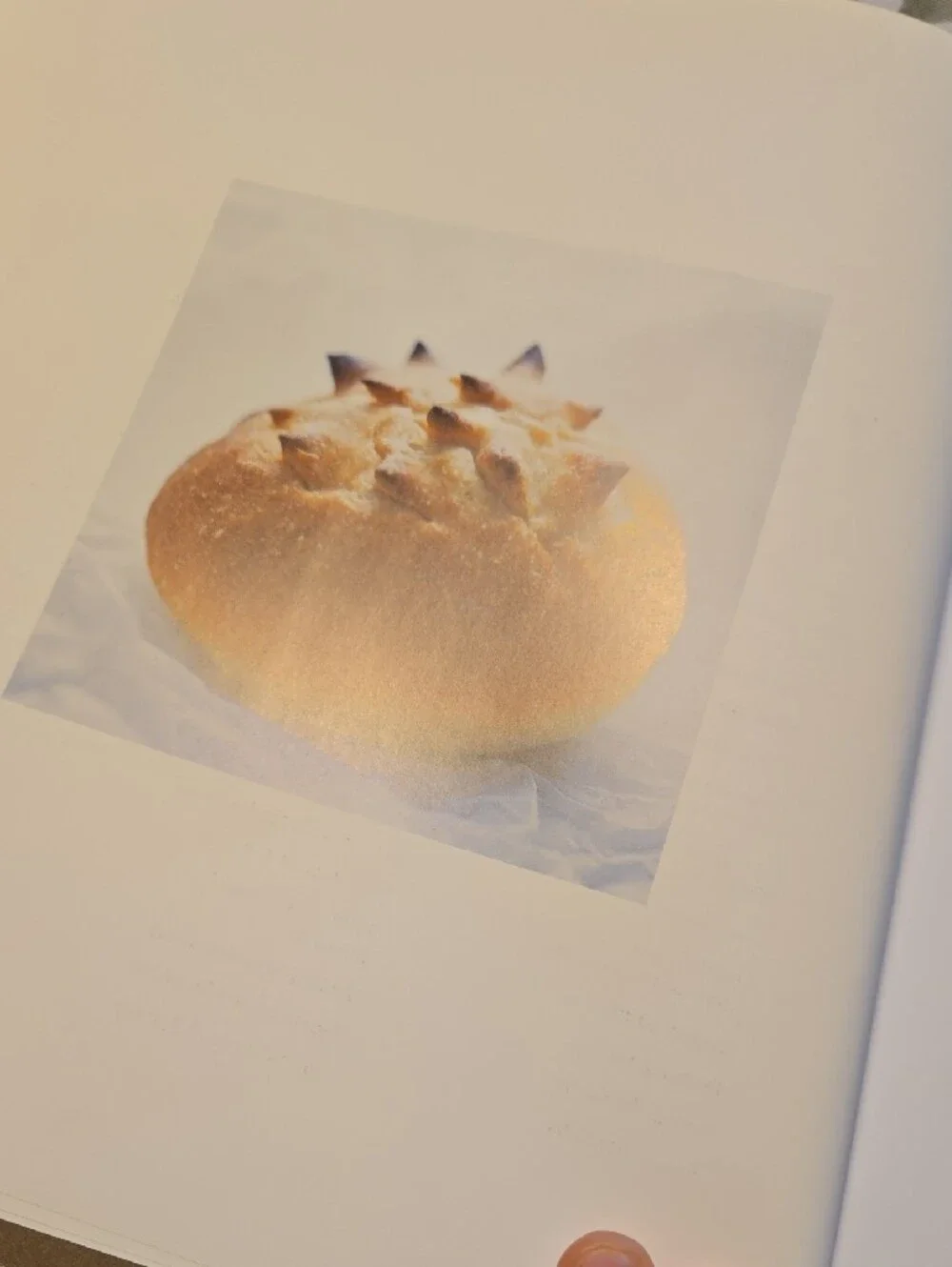 The Bread Baker's Apprentice by Peter Reinhart